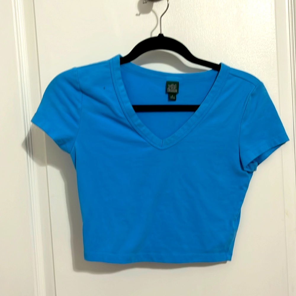 Blue crop top from wild fable!
